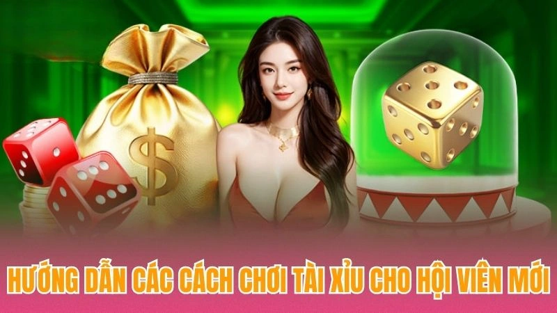 Hướng dẫn các cách chơi tài xỉu cho hội viên mới